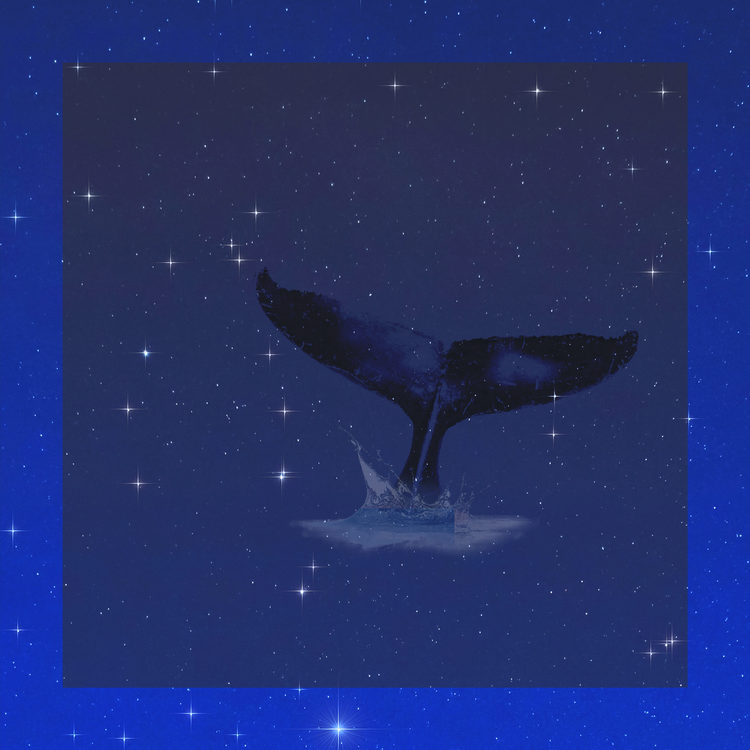 Ocean Series の画像