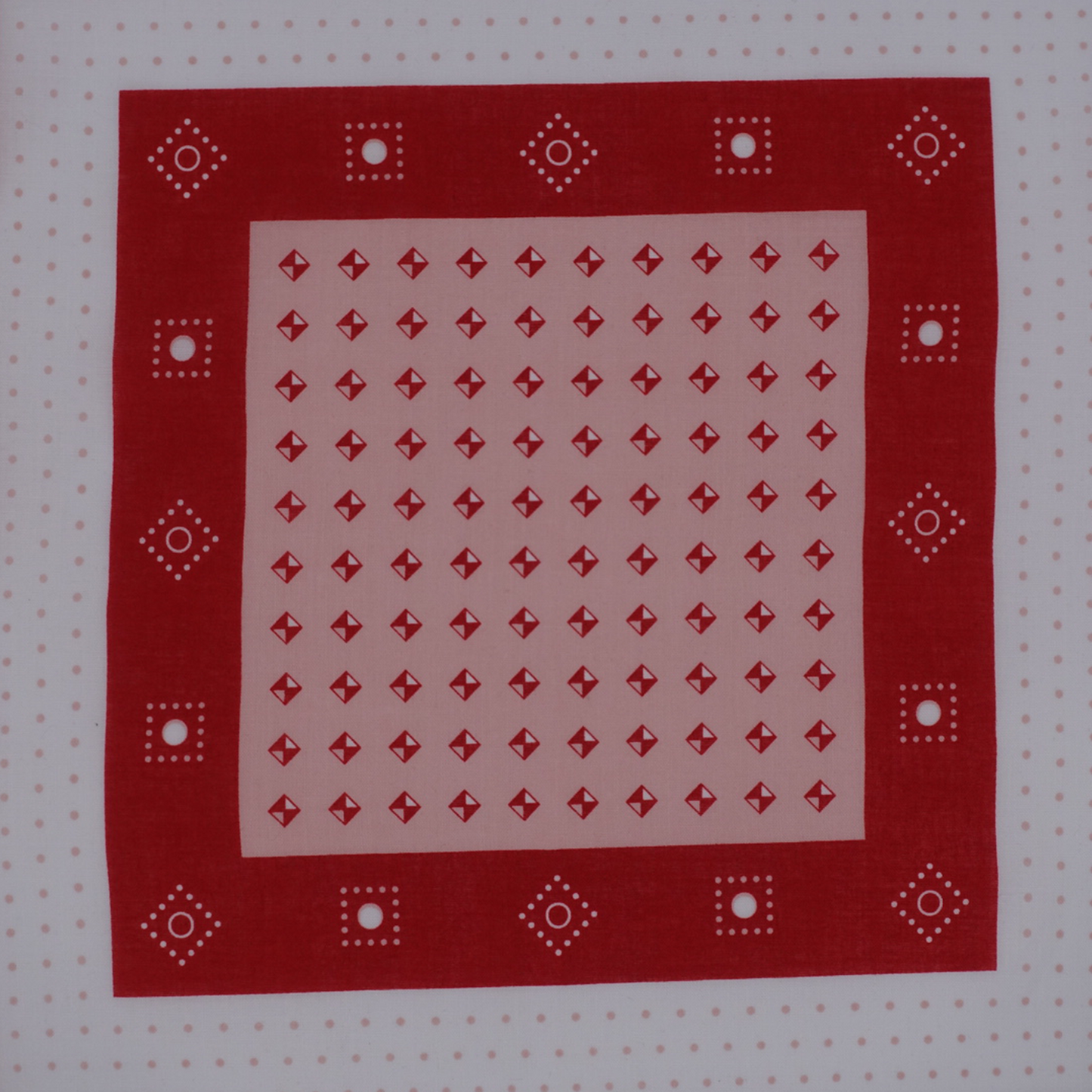 Studs Type-01 Raspberry